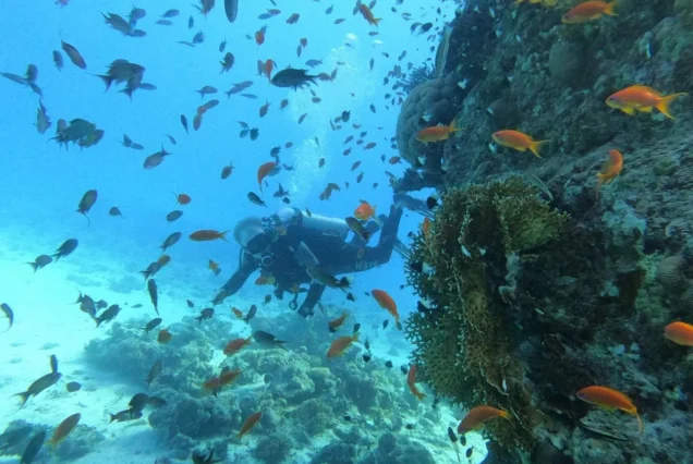 PADI Advanced Open Water (10)