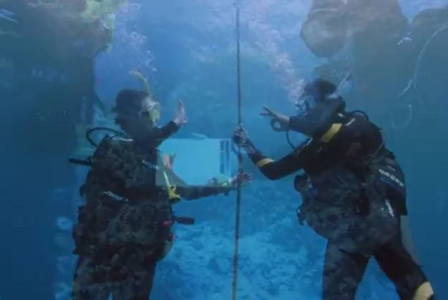 PADI Advanced Open Water (7)