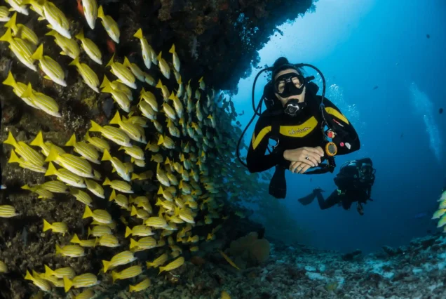 PADI Open Water Diver Hurghada diving center