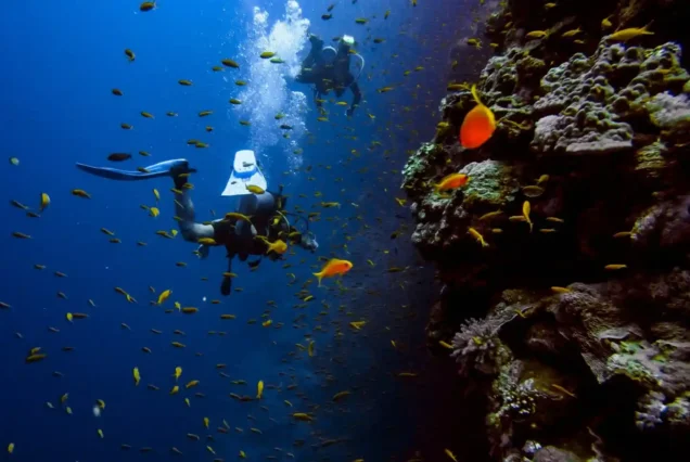 PADI Open Water Diver Hurghada diving center