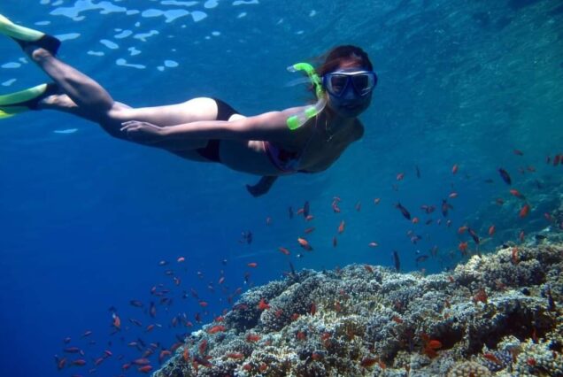 Schnorcheln direkt vom Tauchboot