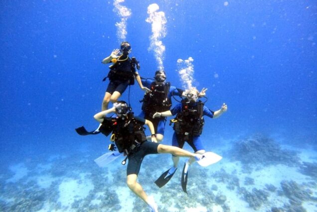 Daily Diving