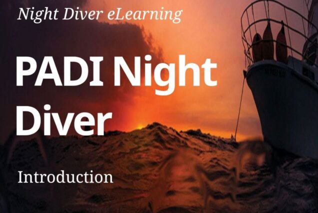 PADI Night diver specialty