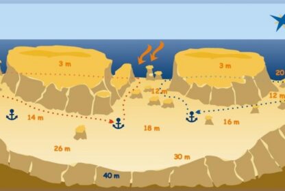 Carless Reef